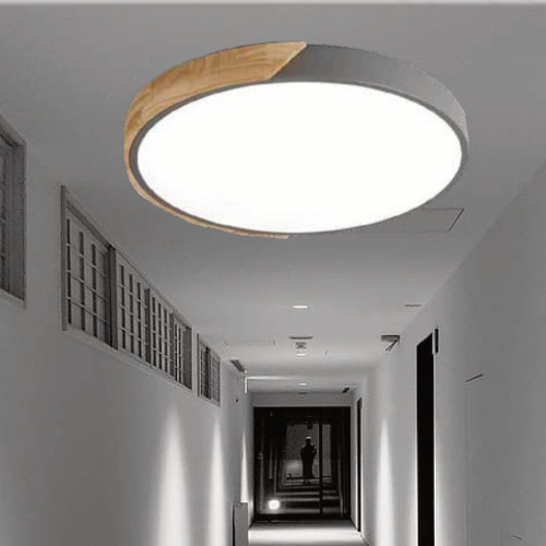 GW Ceiling Light